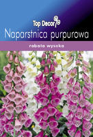 Naparstnica purpurowa