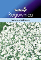 Rogownica